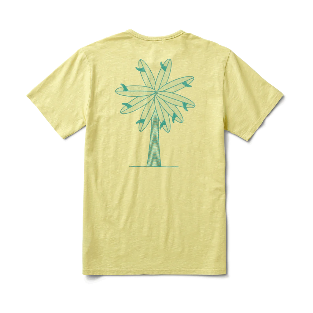Grow Your Own Organic Cotton Teen - Lime