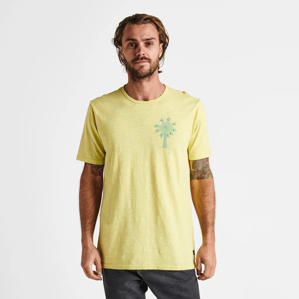 Grow Your Own Organic Cotton Teen - Lime