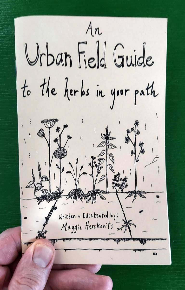 Urban Field Guide to the Herbs in Your Path (Zine)